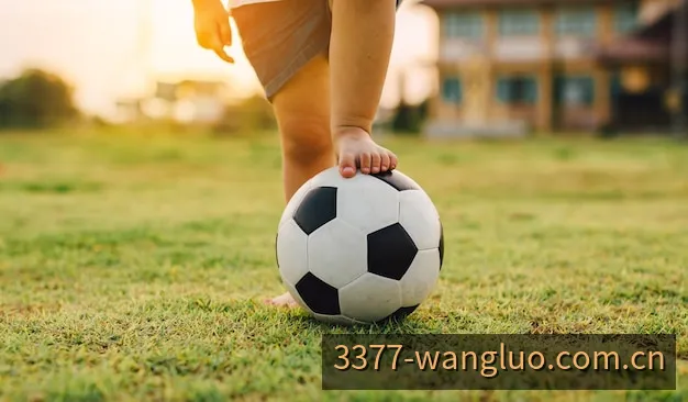 3377体育全球热门足球与篮球联赛赛程时间表视觉横幅